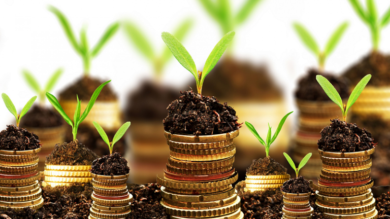 Juros compostos Kamba Rico